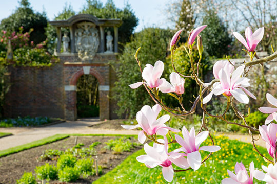 The Gardens at Nymans in Sussex - The Royal Oak Foundation