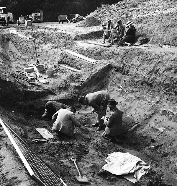 Stronghold of the Kings in the North  King in the north, Anglo saxon,  Archaeology dig