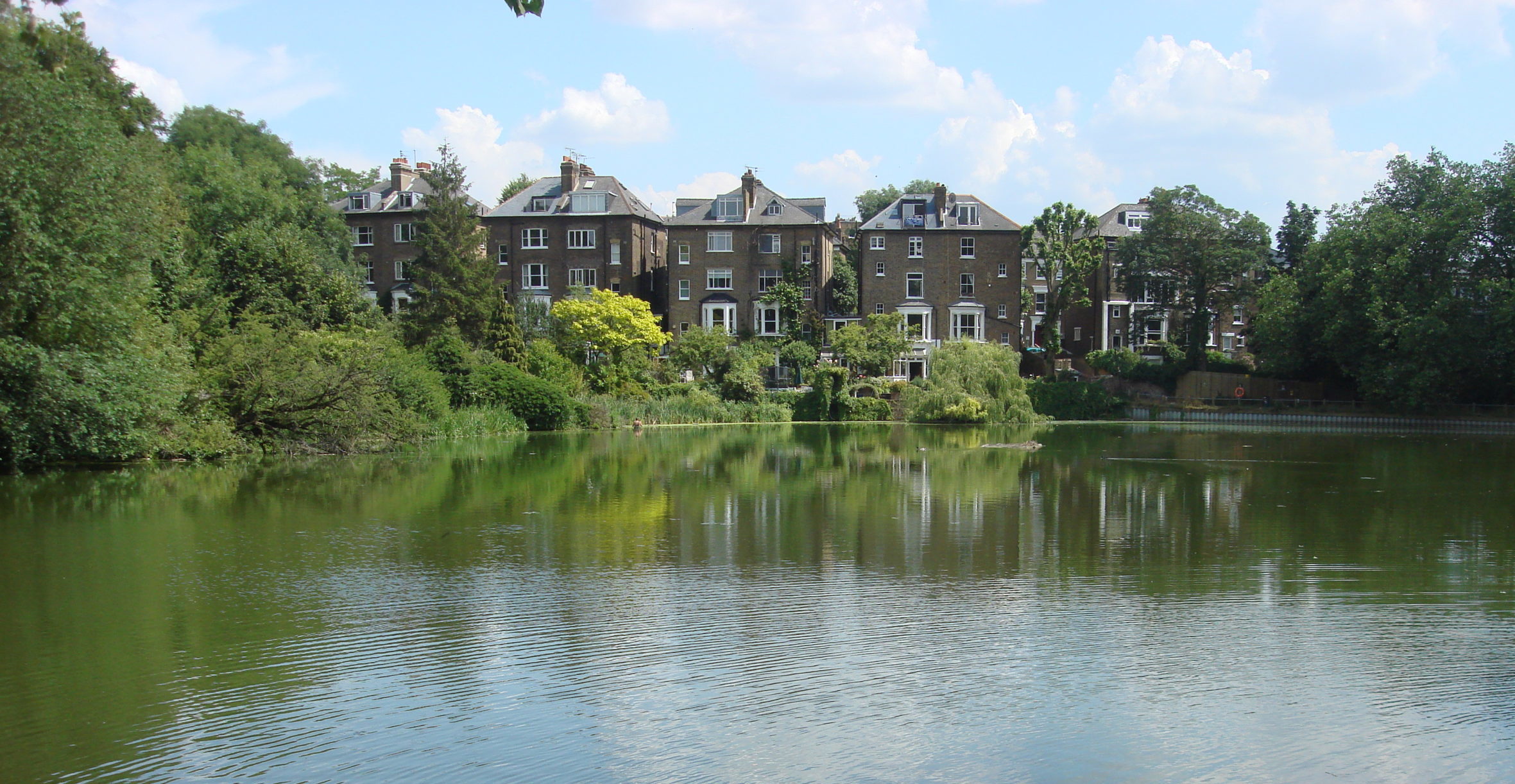 Hampstead Heath ponds